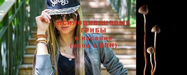 прущая мука Арсеньев