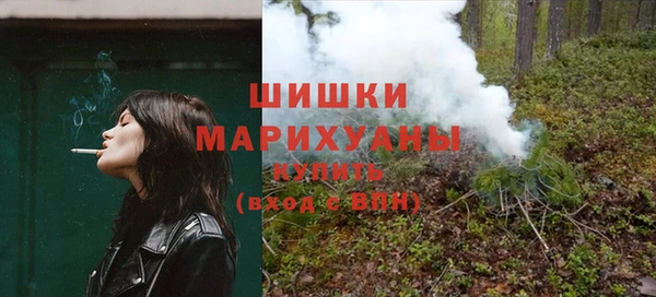 Альфа ПВП Аркадак