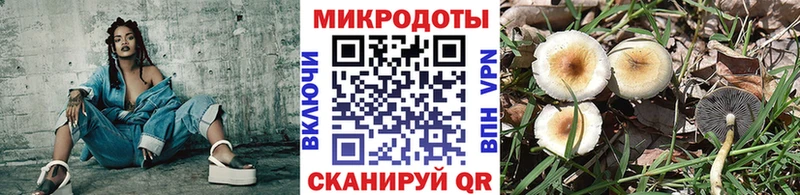 наркотики  Гурьевск  Псилоцибиновые грибы MAGIC MUSHROOMS 